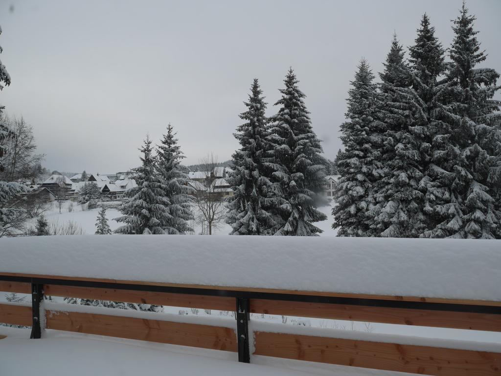 Pension Tannenheim Schluchsee Bagian luar foto