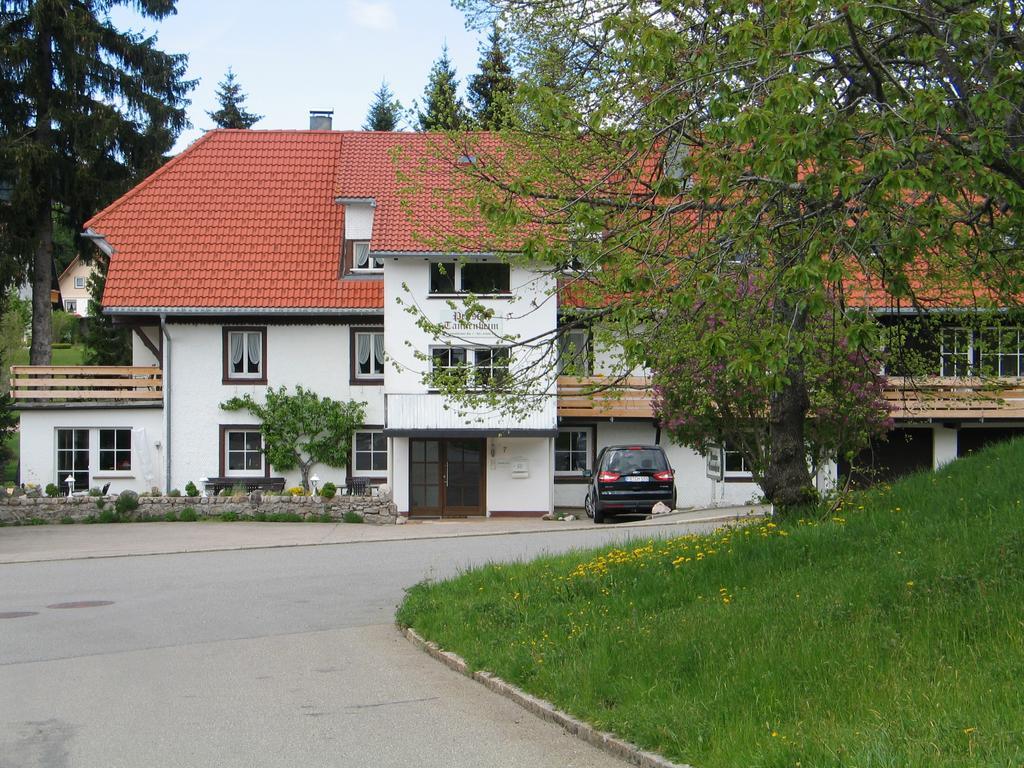 Pension Tannenheim Schluchsee Bagian luar foto