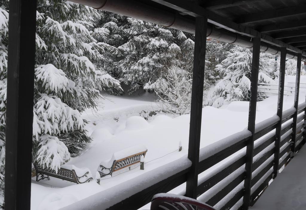 Pension Tannenheim Schluchsee Bagian luar foto