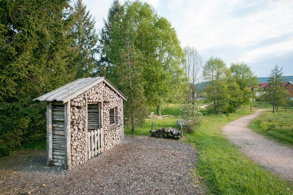 Pension Tannenheim Schluchsee Bagian luar foto