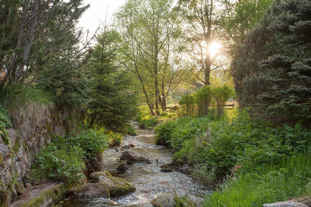 Pension Tannenheim Schluchsee Bagian luar foto