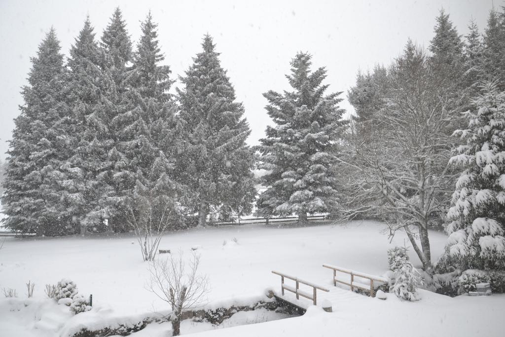 Pension Tannenheim Schluchsee Bagian luar foto