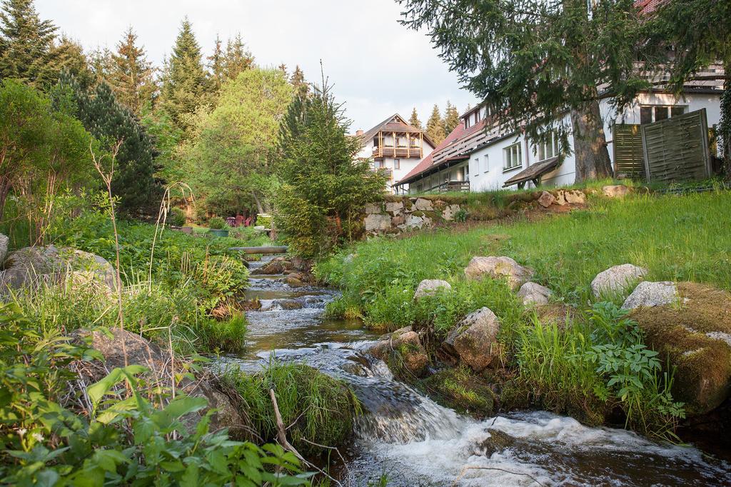 Pension Tannenheim Schluchsee Bagian luar foto