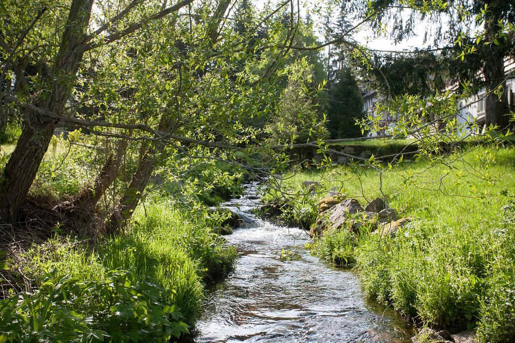 Pension Tannenheim Schluchsee Bagian luar foto